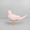 Budgie - Pink/Gold