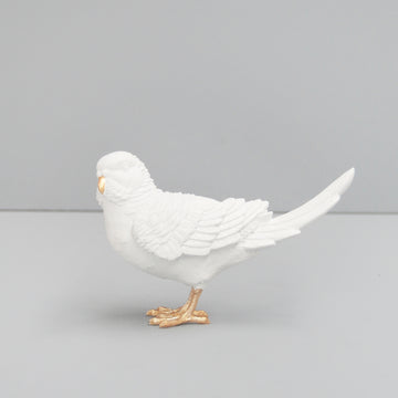 Budgie - White